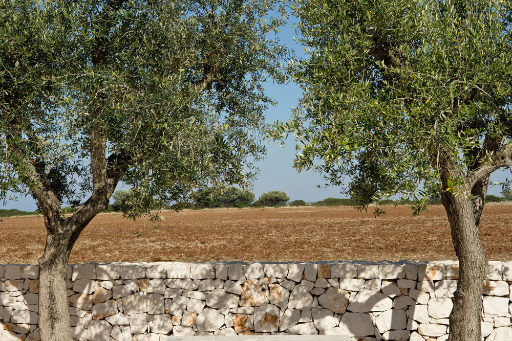 Grand Hotel Masseria Santa Lucia 오스투니 외부 사진